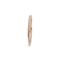 Satellite Fine Ring