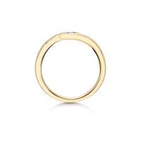 Spannring Twist