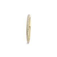 Satellite Fine Ring