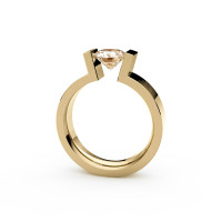 Spannring High End C