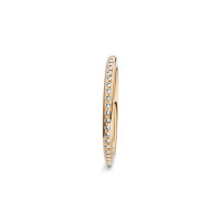 Satellite Fine Ring