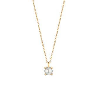 Delight Collier