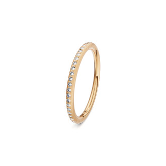 Satellite Fine Ring