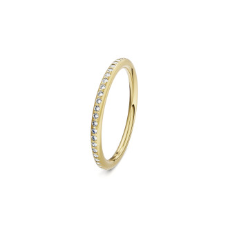 Satellite Fine Ring