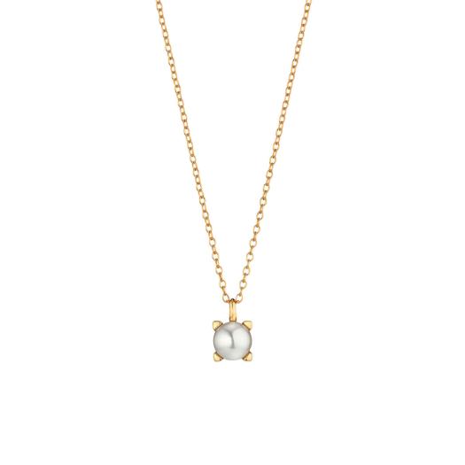Gellner - Delight Collier