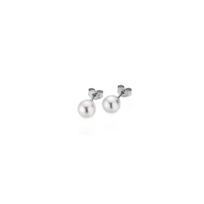 BASICS Ohrstecker