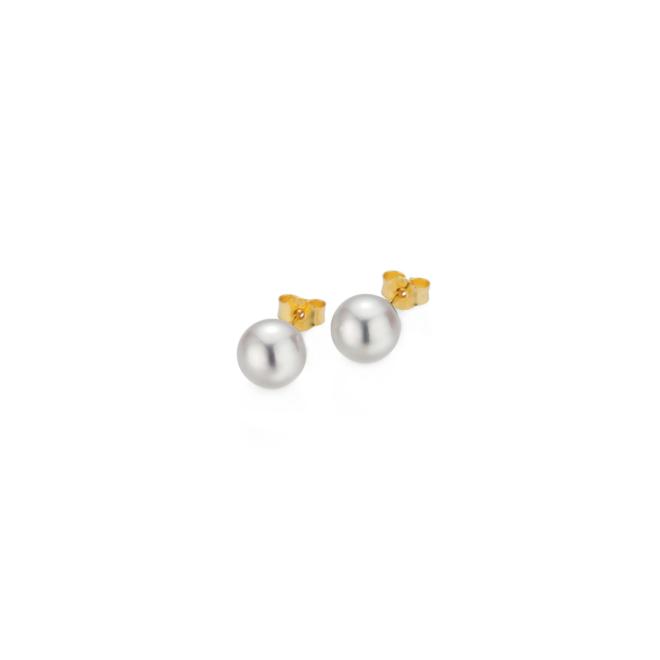 BASICS Ohrstecker