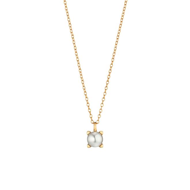 Delight Collier