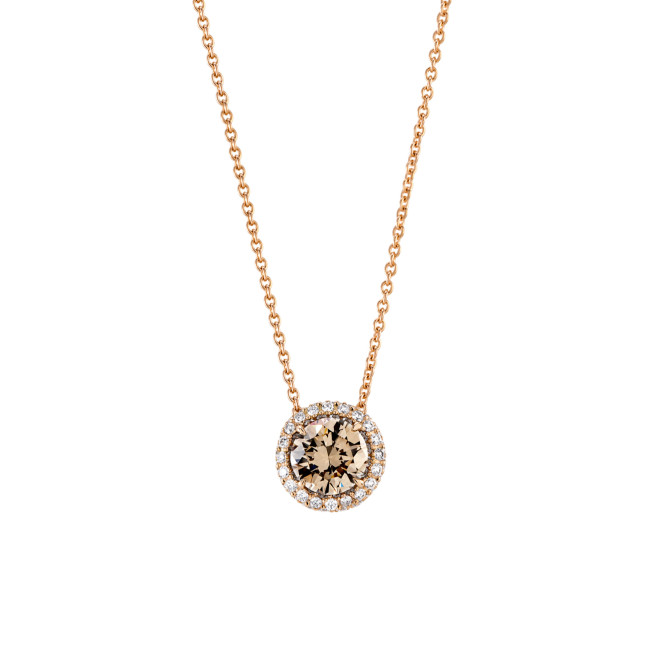 Anhänger mit Hakskette