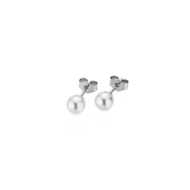 BASICS Ohrstecker