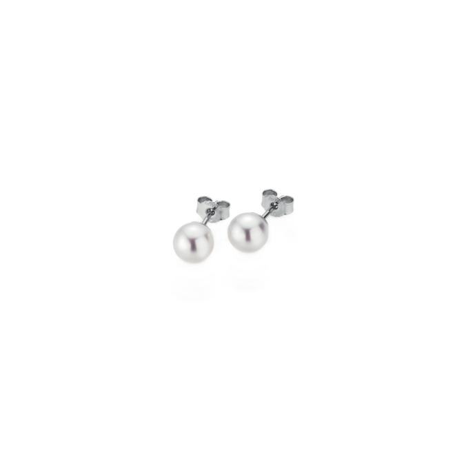 BASICS Ohrstecker