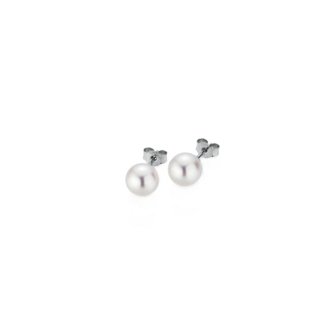 BASICS Ohrstecker 